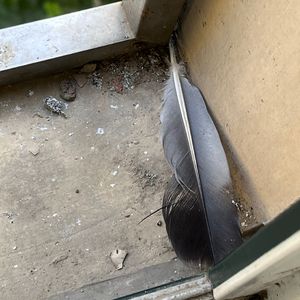 中国女人做爱艳情片
